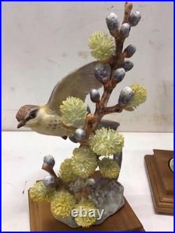 1963 Pair of Royal Worcester Dorothy Doughty Birds, Vermilion Flycatcher, Stands