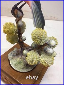 1963 Pair of Royal Worcester Dorothy Doughty Birds, Vermilion Flycatcher, Stands