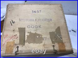 1963 Pair of Royal Worcester Dorothy Doughty Birds, Vermilion Flycatcher, Stands