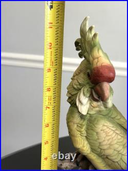 1970's Vintage Cockatoo Andrea by Sadek 11.5