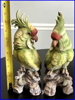 1970's Vintage Cockatoo Andrea by Sadek 11.5