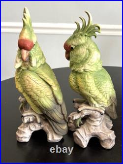 1970's Vintage Cockatoo Andrea by Sadek 11.5