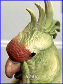 1970's Vintage Cockatoo Andrea by Sadek 11.5