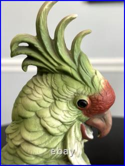 1970's Vintage Cockatoo Andrea by Sadek 11.5