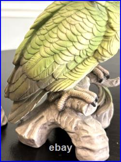 1970's Vintage Cockatoo Andrea by Sadek 11.5
