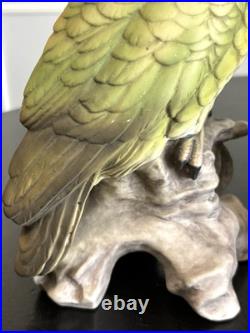 1970's Vintage Cockatoo Andrea by Sadek 11.5