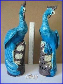 19/20c s X LARGE PAIR CHINESE PORCELAIN TUQUOISE BLUE PHOENIX BIRD FIGURES