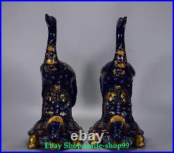 19.6Old China Dynasty Blue Glaze Porcelain Gild Fengshui Crane Bird Statue Pair