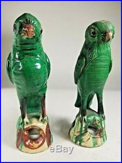 19th C. Pair of Chinese Famille-Verte Porcelain Parrots Conservatory Fern House