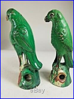 19th C. Pair of Chinese Famille-Verte Porcelain Parrots Conservatory Fern House