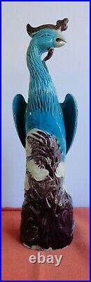 19th Rare Chinese export turquoise blue glazed porcelain POENIX BIRD + STAMP
