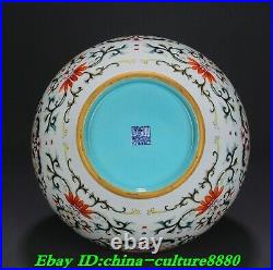 20Old China Colour Enamels Porcelain Ganoderma lucidum Tian Qiu Bottle Vase