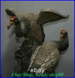 21.6 Collect China Wucai Porcelain Red-crowned crane Crane Bird Animal Statue