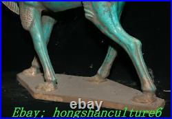 22Old China Dynasty Tang SanCai Porcelain People Ride Camel llama Animal Statue