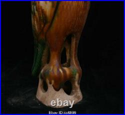 26 cm Chinese Tang San Cai Pottery Porcelain Dynasty Animal Bird Parrot Statue