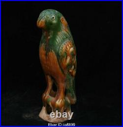26 cm Chinese Tang San Cai Pottery Porcelain Dynasty Animal Bird Parrot Statue