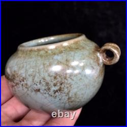 2.8 Rare China Porcelain Song dynasty Ru porcelain Bird pattern pot