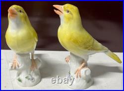 2 Antique MEISSEN Yellow Canary Bird Figurines Crossed Sword Mark GERMANY Rare