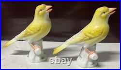 2 Antique MEISSEN Yellow Canary Bird Figurines Crossed Sword Mark GERMANY Rare
