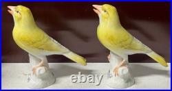 2 Antique MEISSEN Yellow Canary Bird Figurines Crossed Sword Mark GERMANY Rare