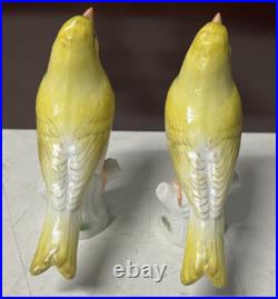 2 Antique MEISSEN Yellow Canary Bird Figurines Crossed Sword Mark GERMANY Rare