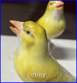 2 Antique MEISSEN Yellow Canary Bird Figurines Crossed Sword Mark GERMANY Rare