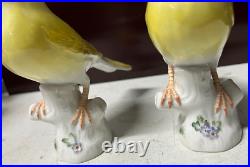 2 Antique MEISSEN Yellow Canary Bird Figurines Crossed Sword Mark GERMANY Rare