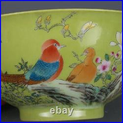 5.7 Chinese Green Glaze Porcelain Famille Rose Flowers Birds Ornament Bowl