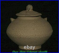 5 Old China Dynasty Ceramics Porcelain Bird Phoenix Zun Tank Crock Pot Jar