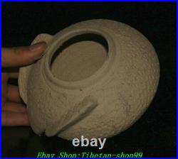 5 Old China Dynasty Ceramics Porcelain Bird Phoenix Zun Tank Crock Pot Jar