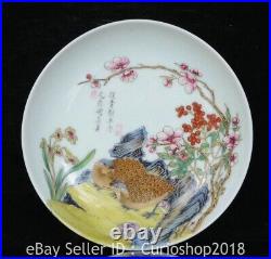 6.2 Kangxi Marked Enamel Colour Porcelain Bird Flower Pattern Plate Tray Dish