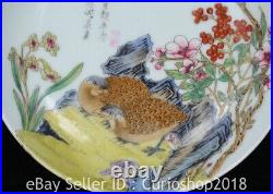 6.2 Kangxi Marked Enamel Colour Porcelain Bird Flower Pattern Plate Tray Dish