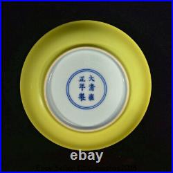 6.6 Yongzheng Marked China colour enamels Porcelain swallow Birds Plate Pair