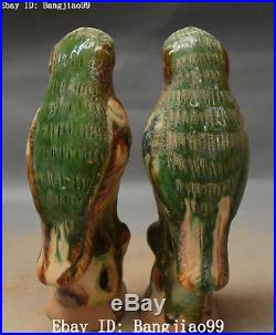 8 Old China Tang Sancai Pottery Porcelain Auspicious Magpie Bird Statue Pair