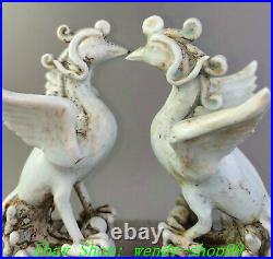 8 Old Chinese Song Dynasty Ru Kiln Porcelain Phoenix Phenix Bird Statue Pair