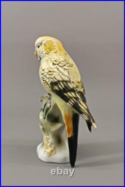 9924099-d Porcelain Figurine Wagner&Apel Budgie Bird Yellow H20cm