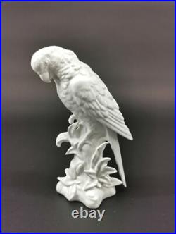 9924101 Wagner&Apel Porcelain Figurine Bird Ara Parrot White H22cm