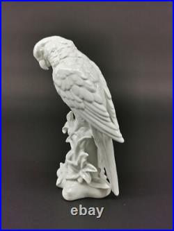 9924101 Wagner&Apel Porcelain Figurine Bird Ara Parrot White H22cm