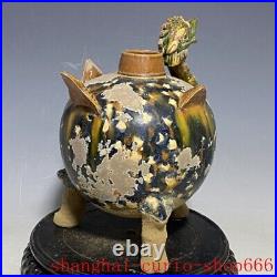 9China dynasty Ancient tangsancai Pottery porcelain bird beast Teapot tank pot