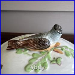 9.5 Rothschild Bird Top Tureen Herond Hungary Handpainted Porcelain Vintage