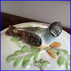 9.5 Rothschild Bird Top Tureen Herond Hungary Handpainted Porcelain Vintage