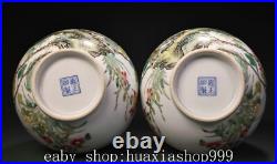 9.8 Yongzheng Marked Famille Rose Porcelain Flower Bird Fruit Bottle Vase Pair
