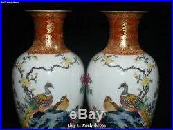9 Chinese Enamel Color Porcelain Peacock Bird Flower Pot Vase Jardiniere Pair