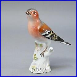 A Meissen Porcelain Perched Bird