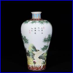 A PAir Collectable Art Hand Painting Famille Rose Porcelain Bird Mei Vase