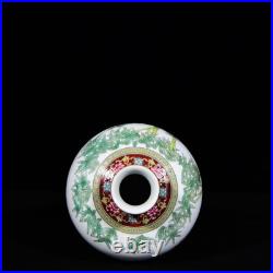 A PAir Collectable Art Hand Painting Famille Rose Porcelain Bird Mei Vase