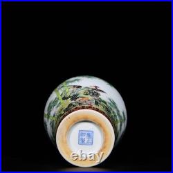 A PAir Collectable Art Hand Painting Famille Rose Porcelain Bird Mei Vase