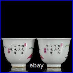A Pair Chinese Pastel Porcelain Hand Painted Exquisite Flower and Bird Cups 2162