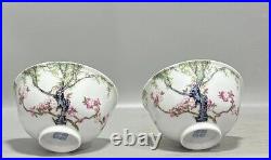 A Pair Collectable Art Fine Handmade Painting Famille Rose Porcelain Bird Bowl
