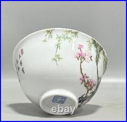 A Pair Collectable Art Fine Handmade Painting Famille Rose Porcelain Bird Bowl